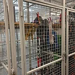 Yllaes 9212 Апартаменты
